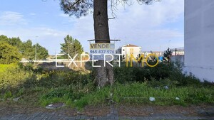 Terreno R�stico - Marinha Grande, Marinha Grande, Leiria - Miniatura: 5/17