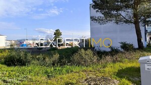 Terreno R�stico - Marinha Grande, Marinha Grande, Leiria - Miniatura: 7/17