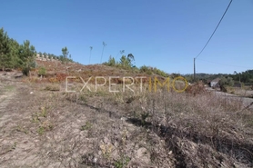 Terreno R�stico - Gondemaria, Our�m, Santar�m - Miniatura: 4/5