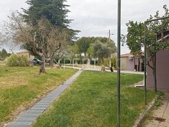 Moradia - Caria, Belmonte, Castelo Branco - Miniatura: 10/58