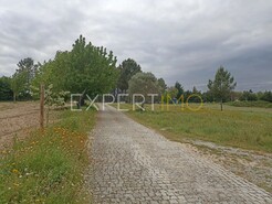 Moradia - Caria, Belmonte, Castelo Branco - Miniatura: 55/58