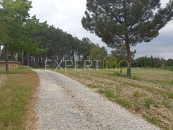 Moradia - Caria, Belmonte, Castelo Branco - Miniatura: 58/58