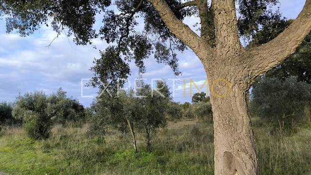 Terreno R�stico - N�o Definido, N�o Definido, N�o Definido - Imagem grande