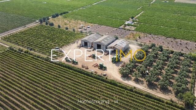 Terreno R�stico - Palmela, Palmela, Set�bal - Imagem grande