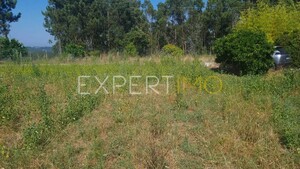 Terreno R�stico - N�o Definido, N�o Definido, N�o Definido