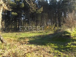 Terreno R�stico - N�o Definido, N�o Definido, N�o Definido - Miniatura: 7/29