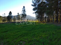 Terreno R�stico - N�o Definido, N�o Definido, N�o Definido - Miniatura: 9/29