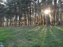 Terreno R�stico - N�o Definido, N�o Definido, N�o Definido - Miniatura: 10/29