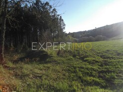 Terreno R�stico - N�o Definido, N�o Definido, N�o Definido - Miniatura: 12/29