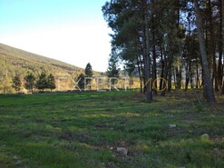 Terreno R�stico - N�o Definido, N�o Definido, N�o Definido - Miniatura: 14/29