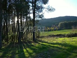 Terreno R�stico - N�o Definido, N�o Definido, N�o Definido - Miniatura: 15/29