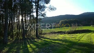 Terreno R�stico - N�o Definido, N�o Definido, N�o Definido - Miniatura: 20/29