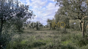 Terreno R�stico - N�o Definido, N�o Definido, N�o Definido - Miniatura: 1/24