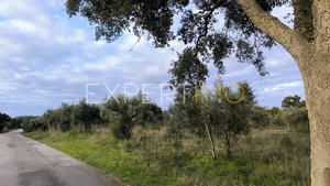 Terreno R�stico - N�o Definido, N�o Definido, N�o Definido - Miniatura: 2/24