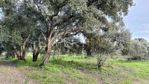 Terreno R�stico - N�o Definido, N�o Definido, N�o Definido - Miniatura: 6/24