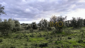 Terreno R�stico - N�o Definido, N�o Definido, N�o Definido - Miniatura: 9/24