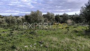 Terreno R�stico - N�o Definido, N�o Definido, N�o Definido - Miniatura: 11/24