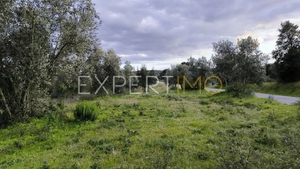 Terreno R�stico - N�o Definido, N�o Definido, N�o Definido - Miniatura: 12/24