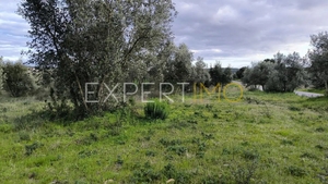 Terreno R�stico - N�o Definido, N�o Definido, N�o Definido - Miniatura: 13/24