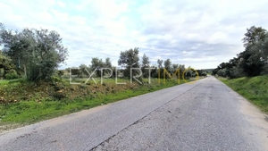 Terreno R�stico - N�o Definido, N�o Definido, N�o Definido - Miniatura: 16/24