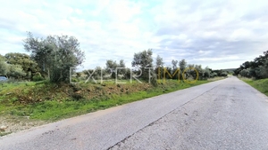 Terreno R�stico - N�o Definido, N�o Definido, N�o Definido - Miniatura: 17/24