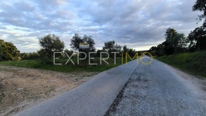 Terreno R�stico - N�o Definido, N�o Definido, N�o Definido - Miniatura: 19/24