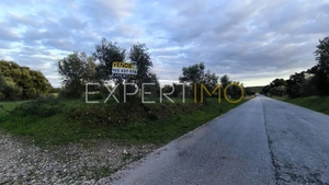 Terreno R�stico - N�o Definido, N�o Definido, N�o Definido - Miniatura: 20/24