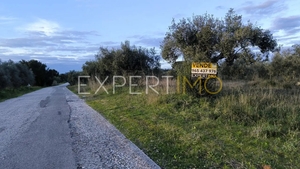 Terreno R�stico - N�o Definido, N�o Definido, N�o Definido - Miniatura: 22/24