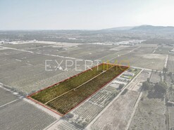 Terreno R�stico - N�o Definido, N�o Definido, N�o Definido - Miniatura: 4/14