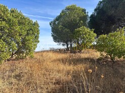 Moradia T3 - N�o Definido, N�o Definido, N�o Definido - Miniatura: 2/13