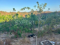 Moradia T3 - N�o Definido, N�o Definido, N�o Definido - Miniatura: 7/13