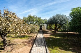 Moradia - N�o Definido, N�o Definido, N�o Definido - Miniatura: 11/29