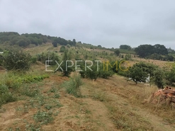 Terreno R�stico - N�o Definido, N�o Definido, N�o Definido - Miniatura: 5/17