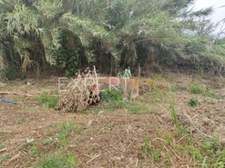 Terreno R�stico - N�o Definido, N�o Definido, N�o Definido - Miniatura: 14/17