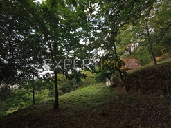 Terreno R�stico - N�o Definido, N�o Definido, N�o Definido - Miniatura: 3/20