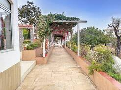 Terreno R�stico - Portim�o, Portim�o, Faro (Algarve) - Miniatura: 22/29