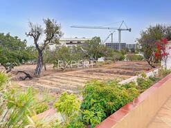 Terreno R�stico - Portim�o, Portim�o, Faro (Algarve) - Miniatura: 24/29