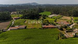 Terreno R�stico - Barqueiros, Barcelos, Braga - Miniatura: 6/16