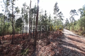Terreno R�stico - Matas, Our�m, Santar�m - Miniatura: 3/4