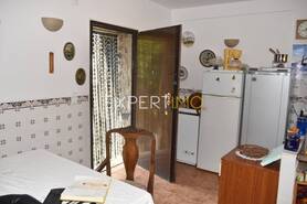 Moradia - Campelo, Figueir� dos Vinhos, Leiria - Miniatura: 20/29
