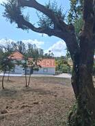 Moradia T4 - S�o Sim�o de Lit�m, Pombal, Leiria - Miniatura: 12/25