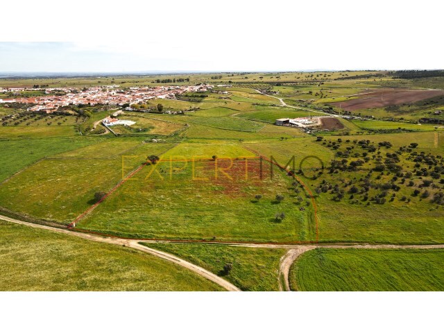 Terreno Rústico - Campo, Reguengos de Monsaraz, Évora - Imagem grande