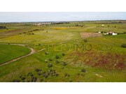 Terreno Rstico - Campo, Reguengos de Monsaraz, vora - Miniatura: 3/9