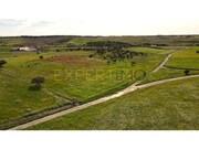 Terreno Rstico - Campo, Reguengos de Monsaraz, vora - Miniatura: 6/9