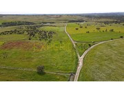 Terreno Rstico - Campo, Reguengos de Monsaraz, vora - Miniatura: 8/9