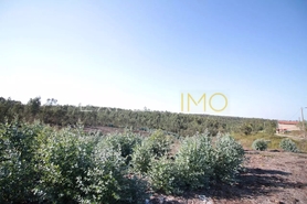 Terreno R�stico - N�o Definido, N�o Definido, N�o Definido - Miniatura: 3/4