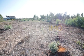 Terreno R�stico - N�o Definido, N�o Definido, N�o Definido - Miniatura: 4/4