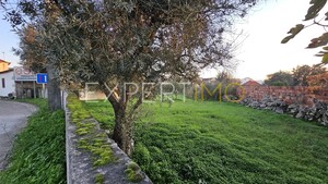 Terreno R�stico - N�o Definido, N�o Definido, N�o Definido - Miniatura: 1/9