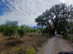 Moradia T3 - S�o Br�s de Alportel, S�o Br�s de Alportel, Faro (Algarve) - Miniatura: 22/29