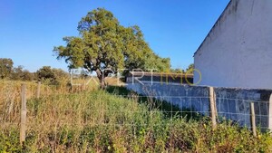 Moradia T4 - Cabrela, Montemor-o-Novo, �vora - Miniatura: 11/12